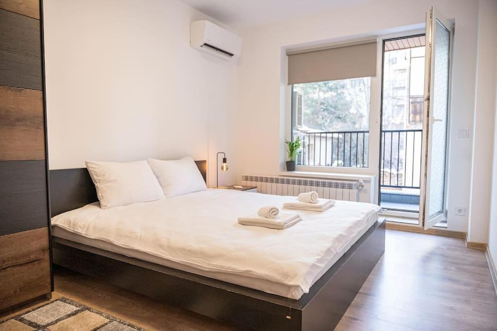 Digital Nomad With Free Gym Pass And Office Setup Sofia