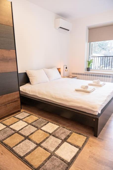Digital Nomad With Free Gym Pass And Office Setup Apartament Sofia